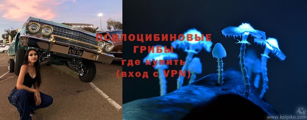 крисы Бугульма