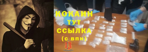крисы Бугульма