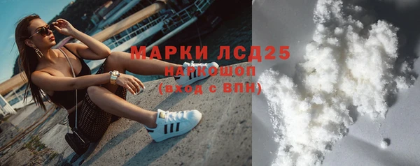 a pvp Бородино