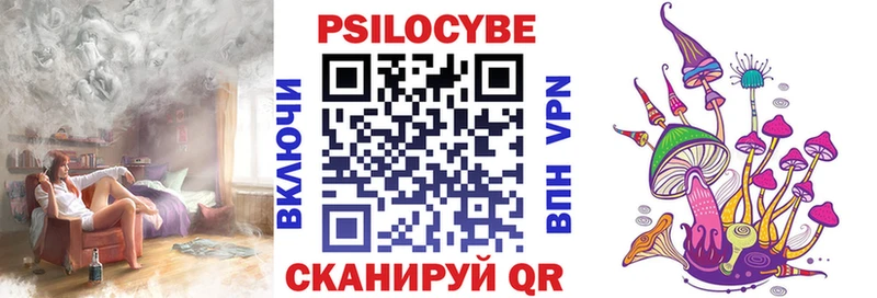 Псилоцибиновые грибы мицелий  купить наркотики сайты  Новозыбков 
