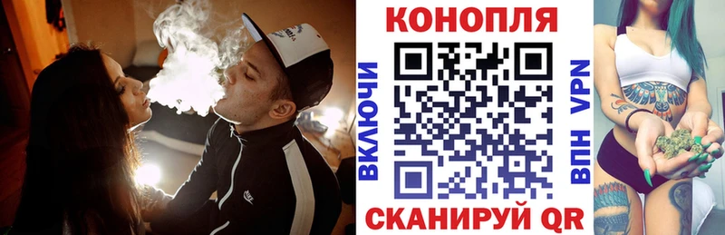Каннабис гибрид  MEGA вход  Новозыбков 